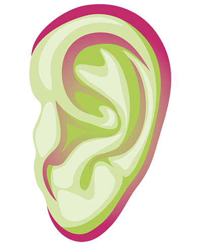 the ear